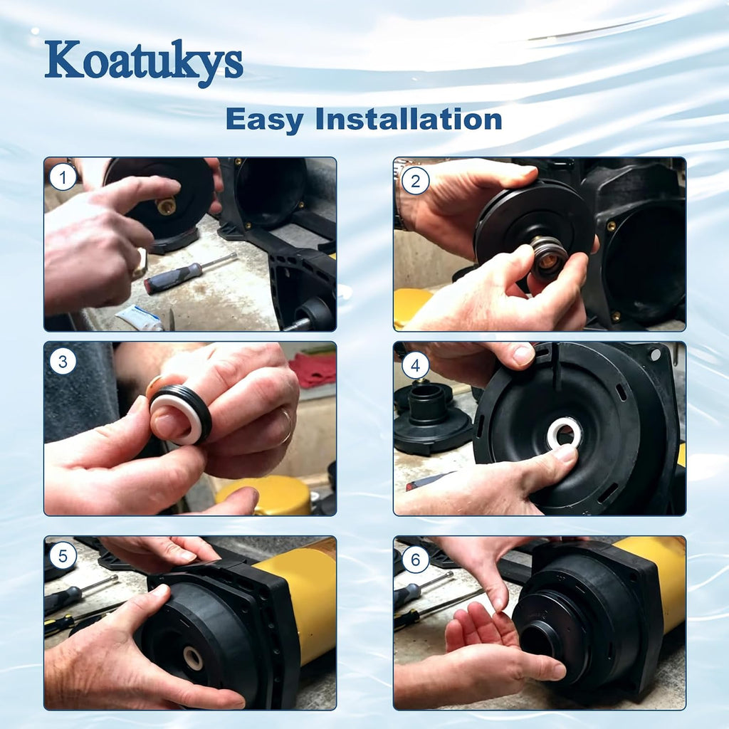 354545 PS-200 5/8" Shaft Seal Replacement