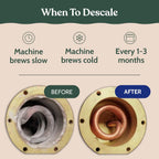 Roobi DeLonghi Compatible Descaling Solution, 500ml Single Bottle