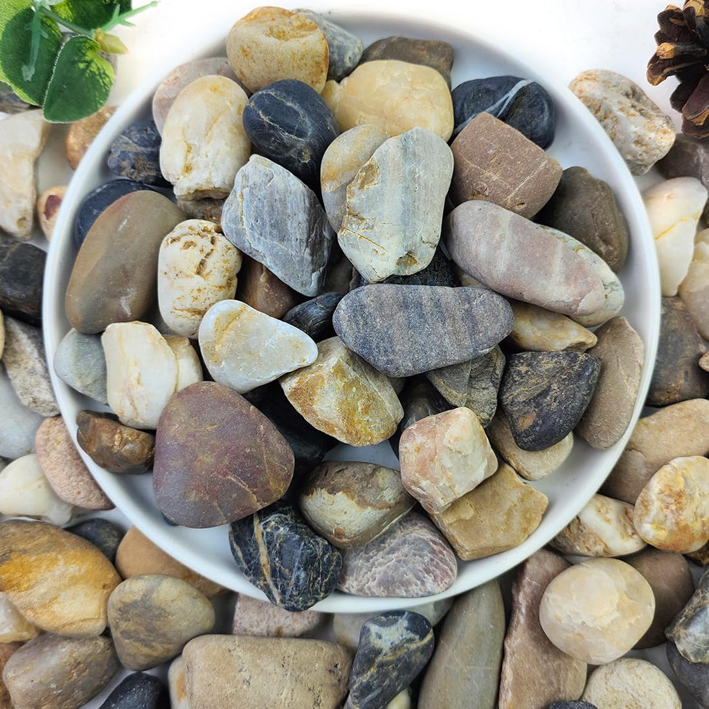 2lbs Aquarium Rocks, 5/8" Natural Mixed Pebbles for Plants