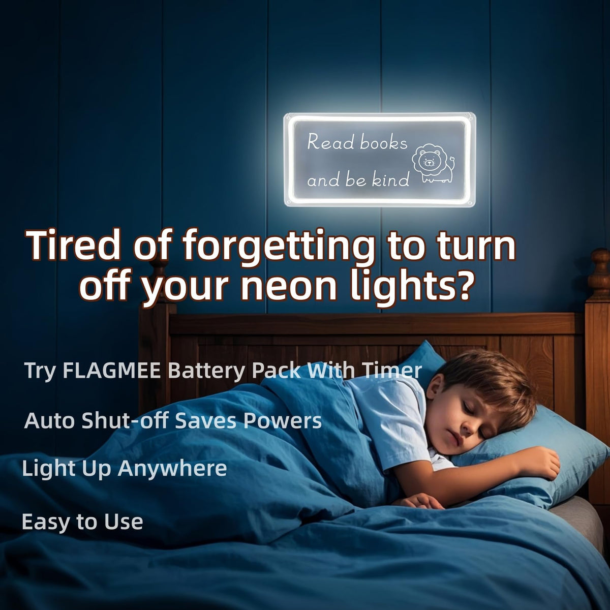 FLAGMEE Portable Battery Pack with Timer for 5V USB Neon Signs, White Plug