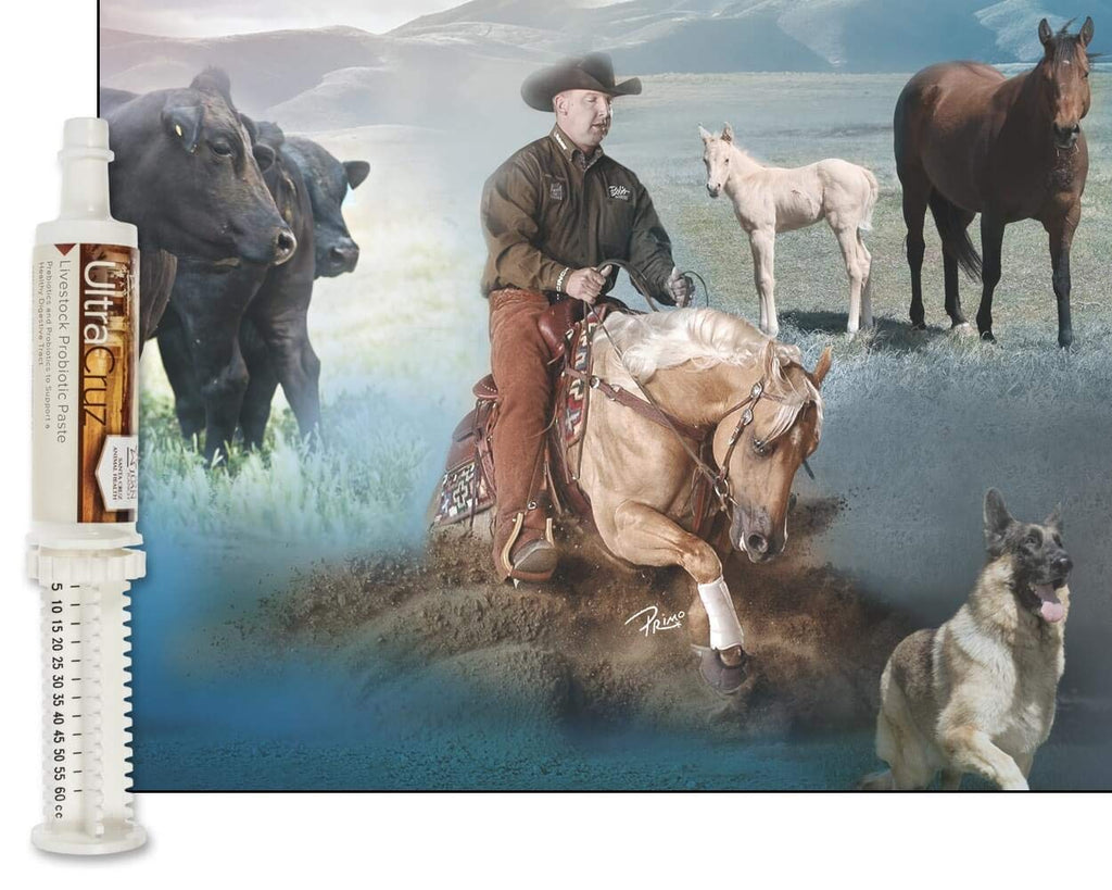 Livestock Probiotic Supplement, 60 ml Paste (Pack of 2)