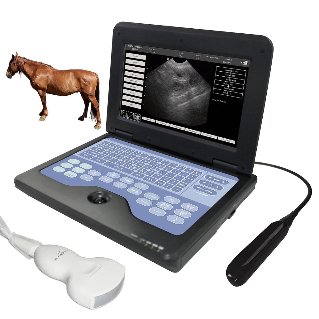Portable Vet Ultrasound Scanner Convex & Rectal Linear Probe