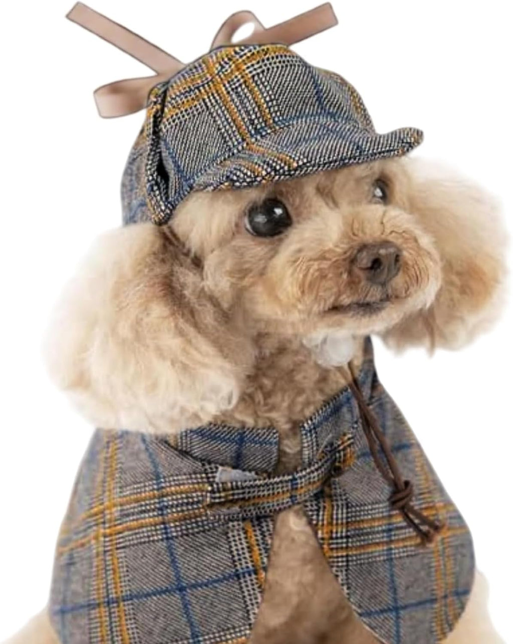 Halloween Detective Dog Costume with Cape & Hat, Small 8lb