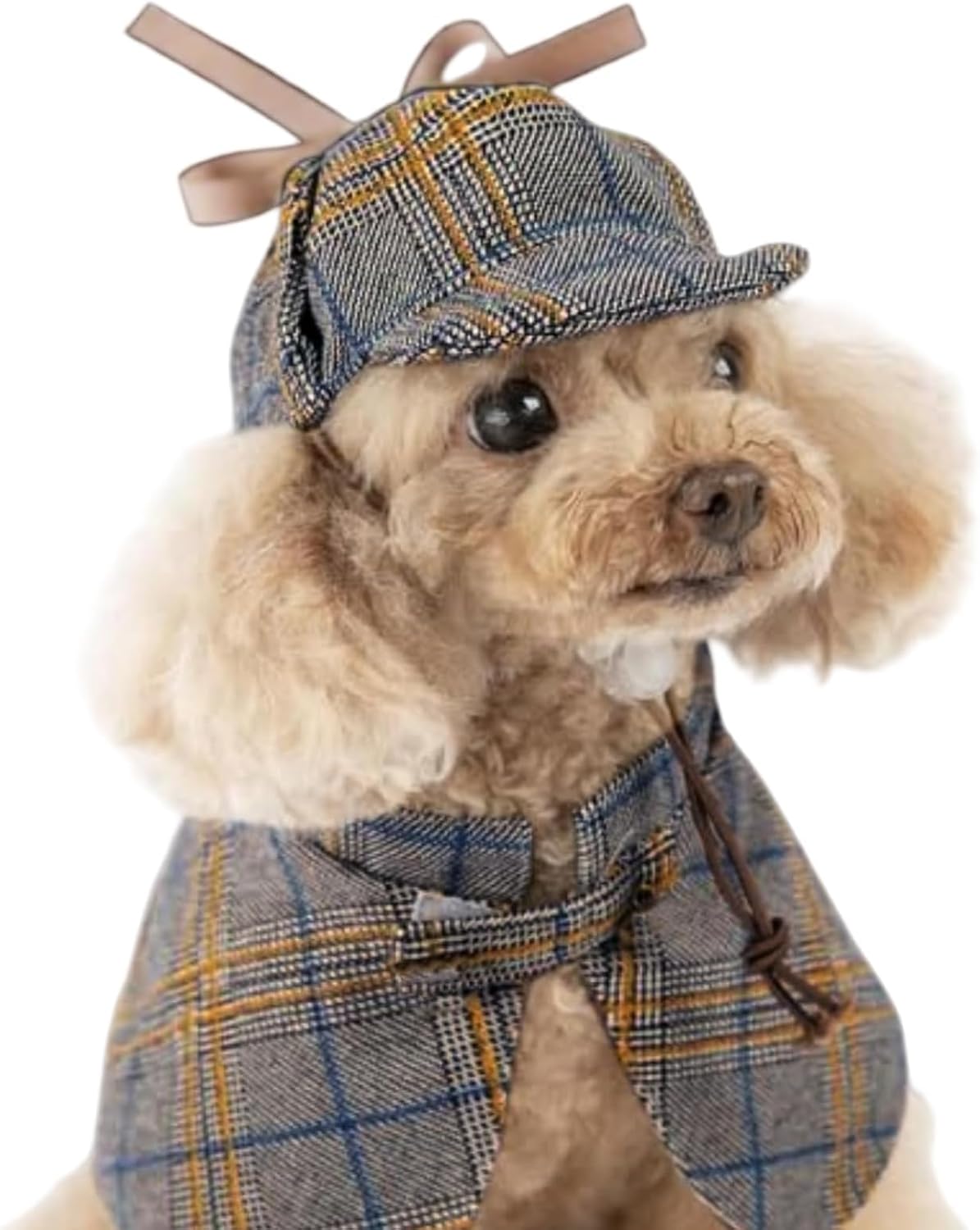 Halloween Detective Dog Costume with Cape & Hat, Medium 9-12lb