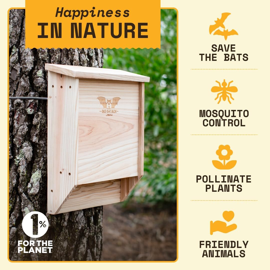 Bat House Kit for Outdoors - Large 2 Chamber, Cedar, Upto 75 Bats