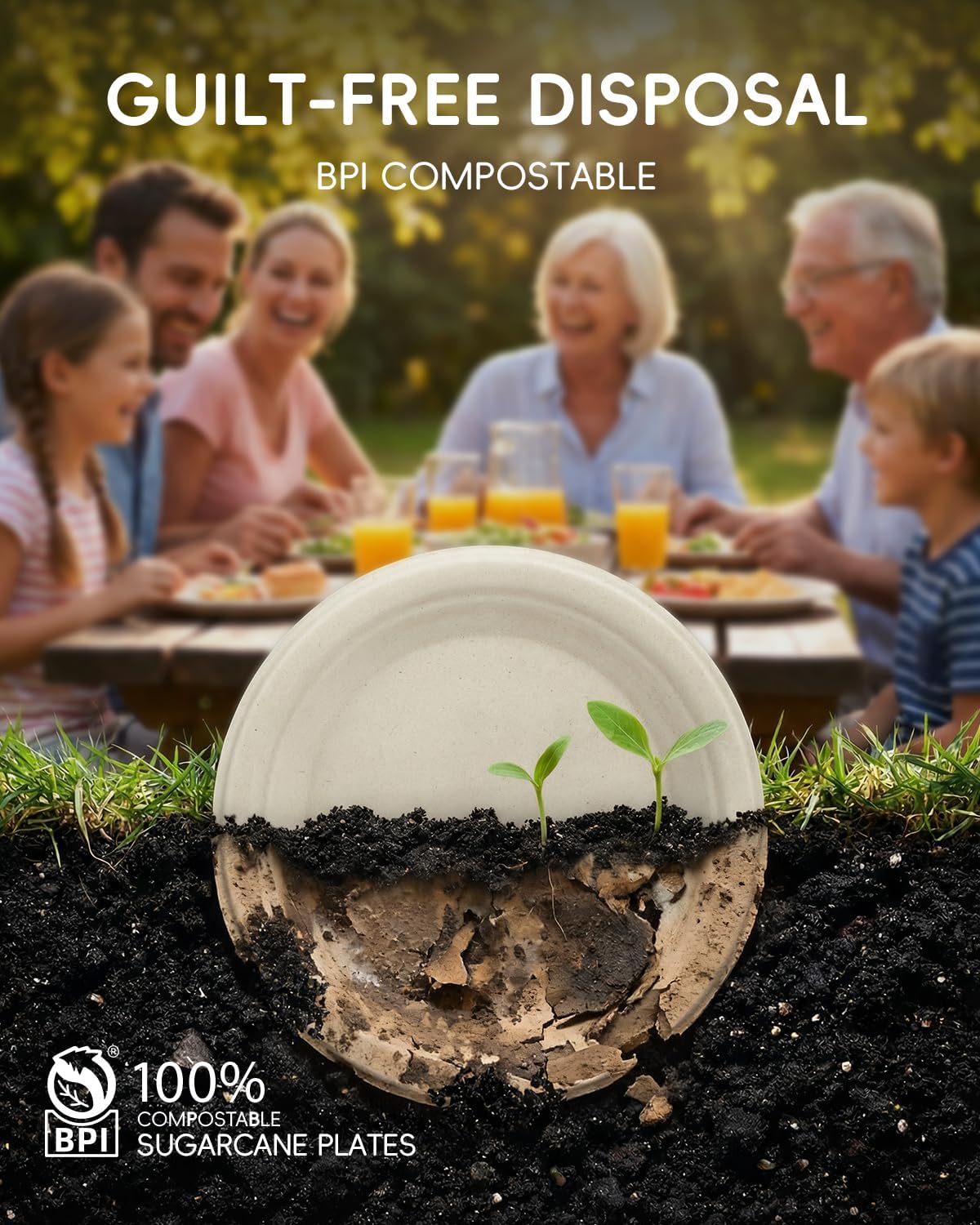 6 Inch Bulk Compostable Sugarcane Paper Plates 300 Pack, Natural