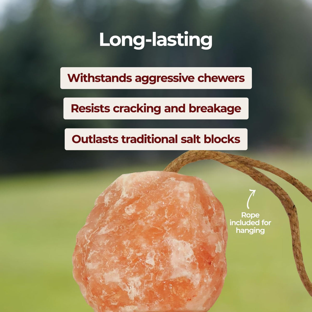 Himalayan Salt Block on Rope for Horses, 2.2 Pounds, SS22