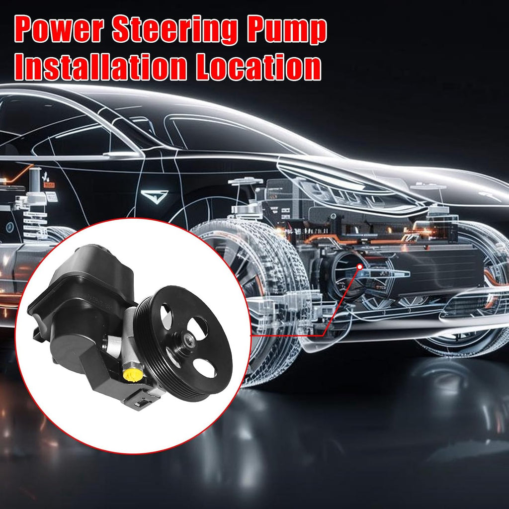20-65990 Power Steering Pump, Fit for 2002-2009 Chevrolet Trailblazer