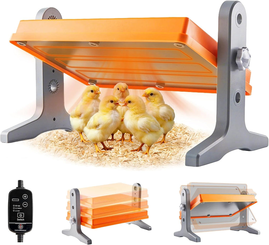 Chick Brooder Heater Plate – 12" x 8" Adjustable Height & Temperature Poultry Warmer for Up to 10 Chicks, Brooder