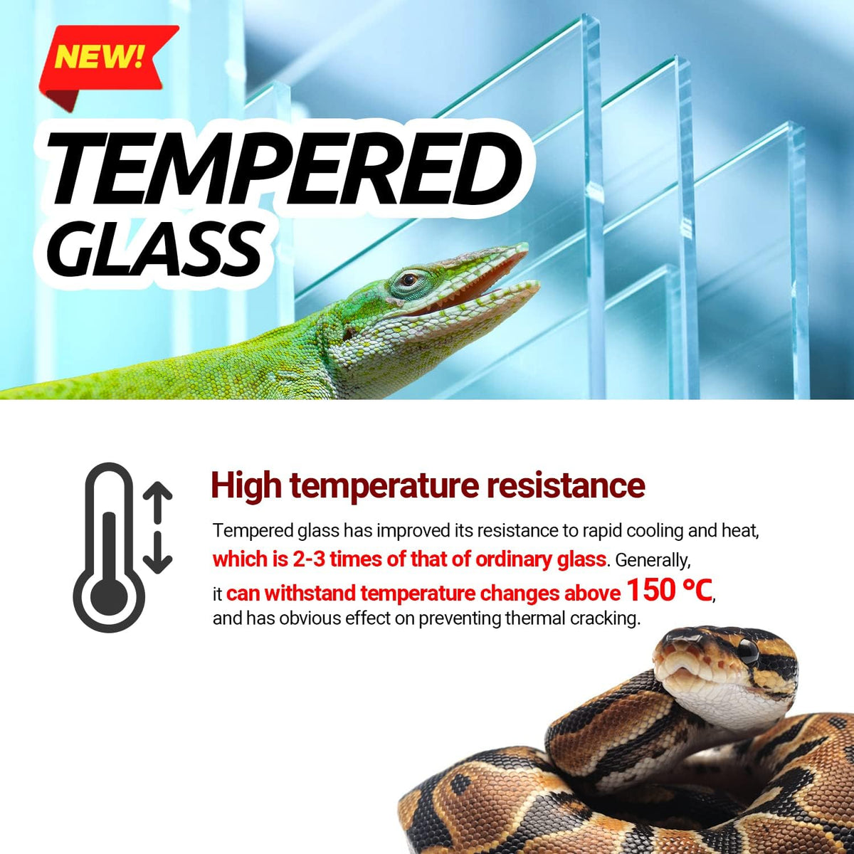 Reptile Tempered Glass Extra-Long Terrarium Habitats 48" x 18" x 18" Reptile Amphibians Large Enclosure for