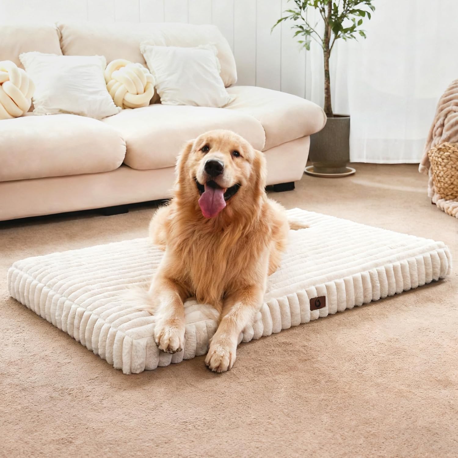 Dog Beds for Large Sized Dog, Orthopedic Pet Bed with Waterproof Lining, Soft Short Plush Surface & Egg Crate Foam