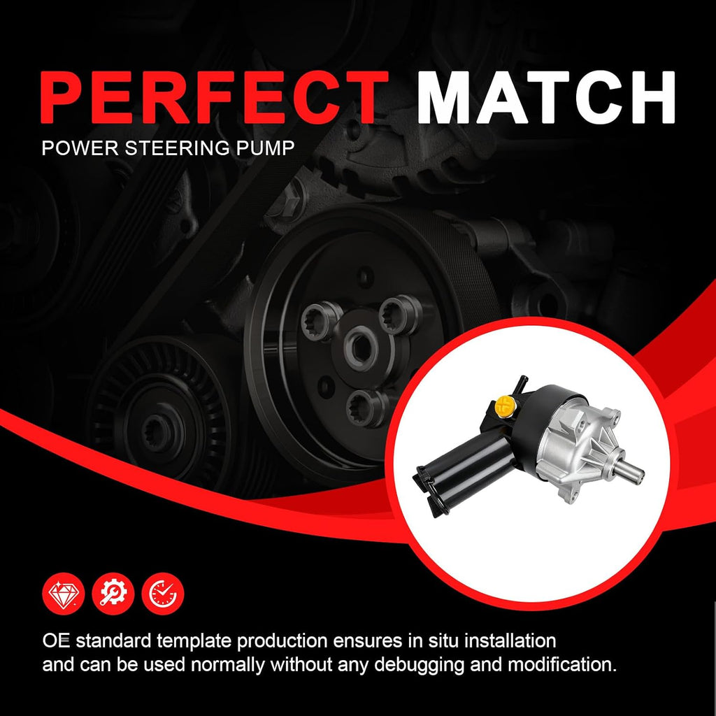 Power Steering Pump with Pulley Replaces F09Z3A674A