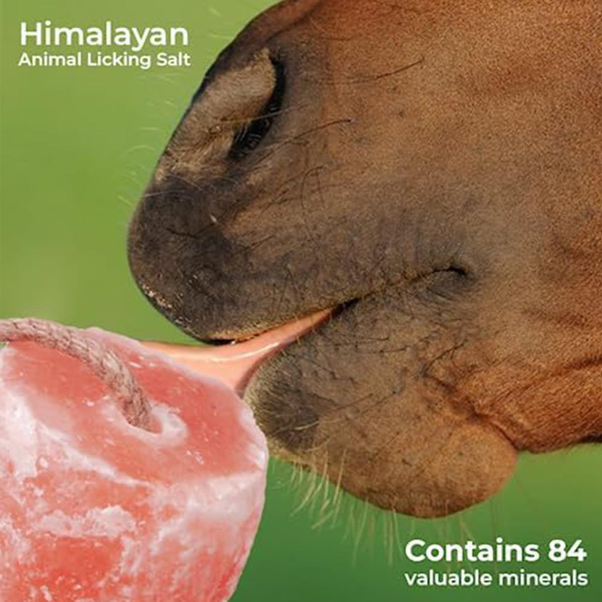 ZK Himalayan Salt Lick for Horses, Livestock– (3-4 lbs) (Pack of 3 Natural Mineral Salt Block for Goats, Cattle &