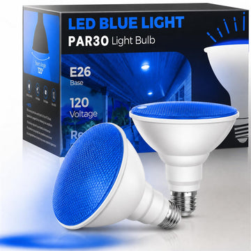 BR & PAR Flood Bulbs