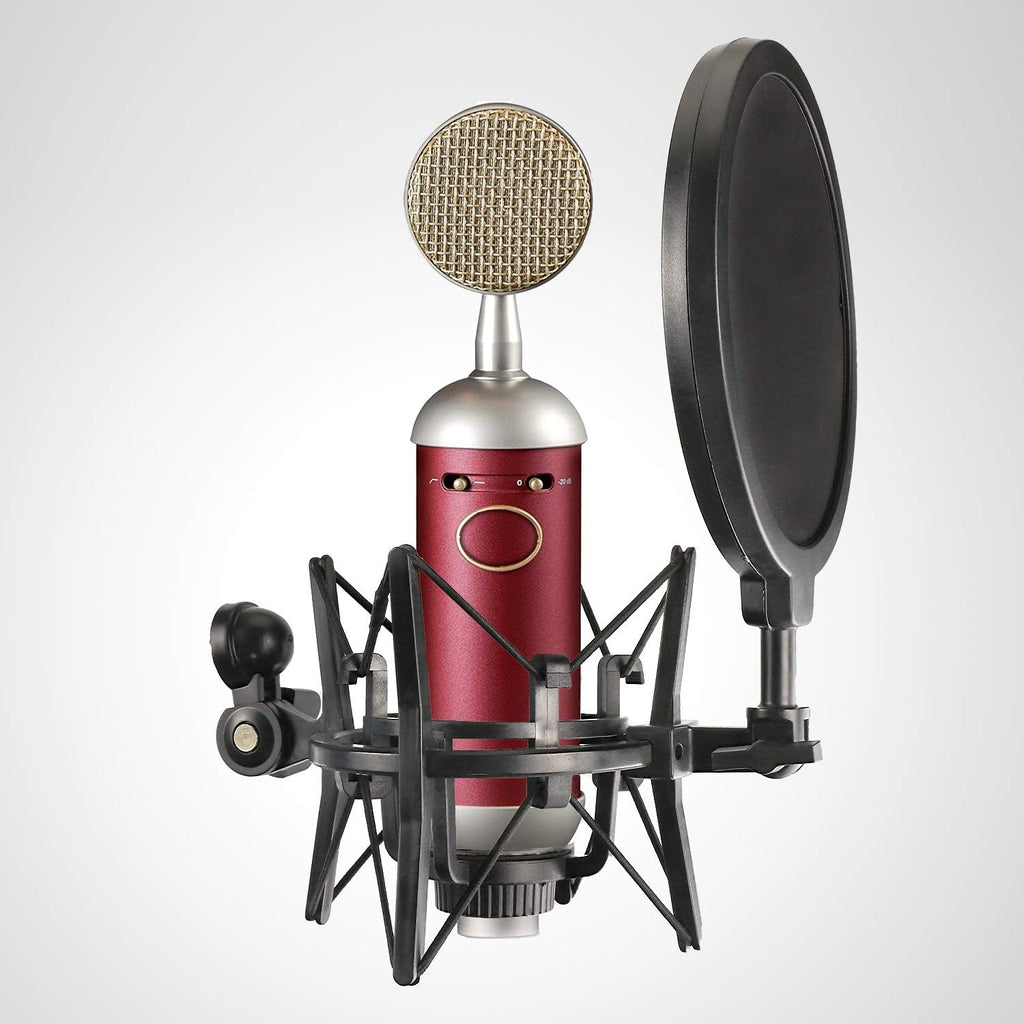 Blue Spark Shock Mount with Pop Filter, Windscreen and Shockmount to Reduce Vibration Noise Matching Mic Boom Arm for