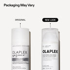 N°.5 Leave-In Conditioner | Moisturizes & Mends Split End, 100 mL