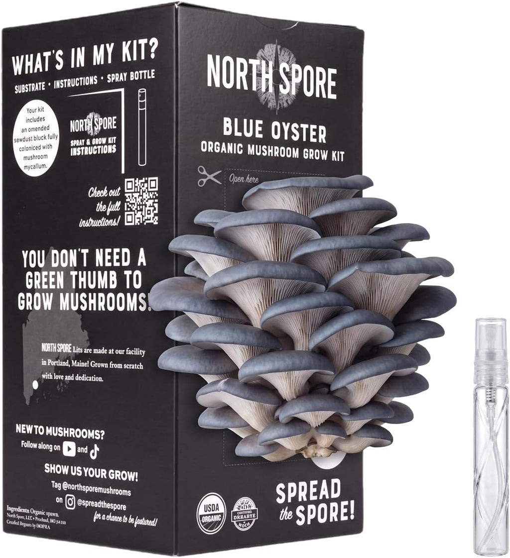 Organic Blue Oyster Mushroom Grow Kit, 4 lbs