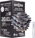 Organic Blue Oyster Mushroom Grow Kit, 4 lbs
