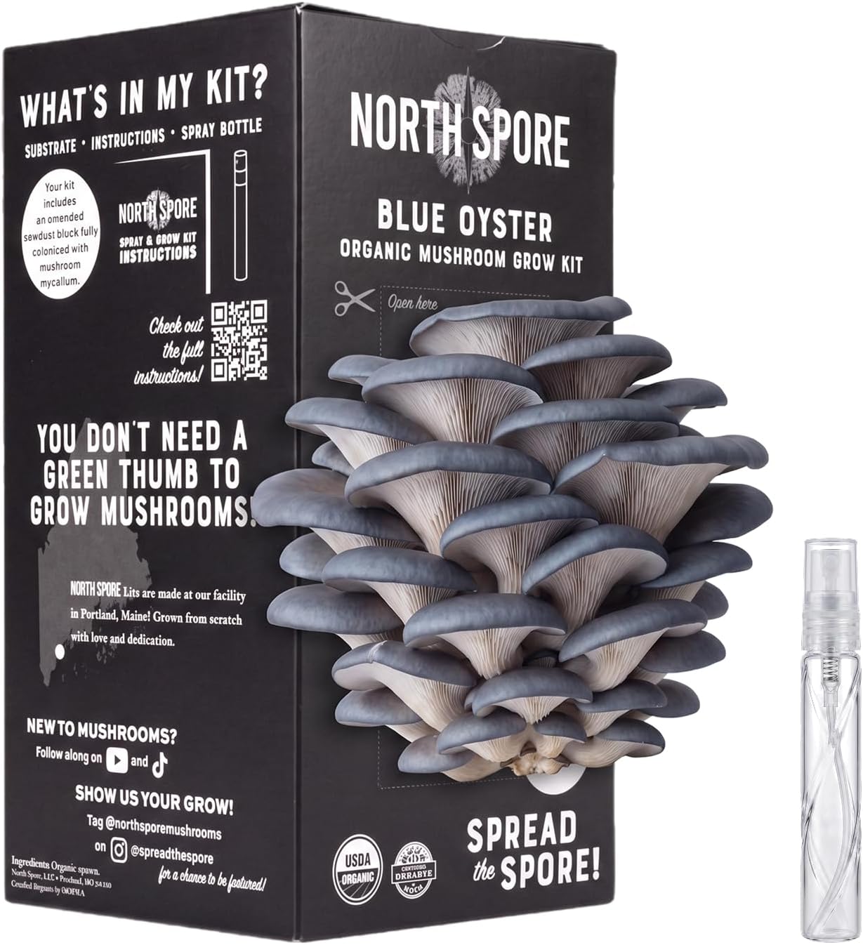 Organic Blue Oyster Mushroom Grow Kit, 4 lbs