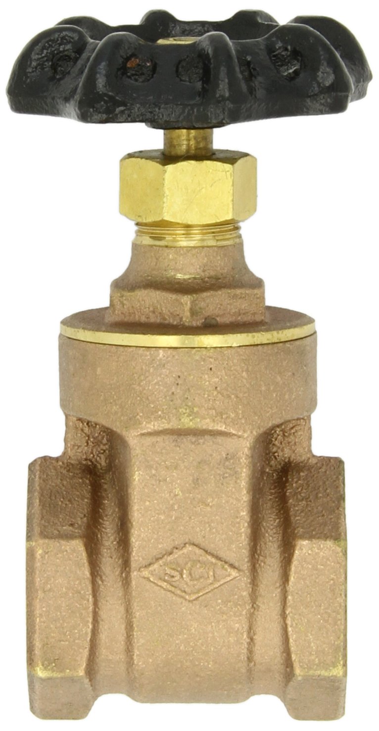 Dixon BGV50 Brass Gate Valve, 1/2" NPT Female
