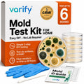 Mold Test Kit for Home Air Quality | Air Quality Test Kit & Black Mold Detector for Home | 6-Petri-Dish Indoor