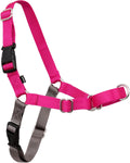 Easy Walk No-Pull Dog Harness - Ultimate Harness to Help Stop Pulling - Pull-Free Walks - Take Control & Teach Better