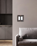 2-Pack Paisley Pattern Double Decorator Outlet Cover Plate