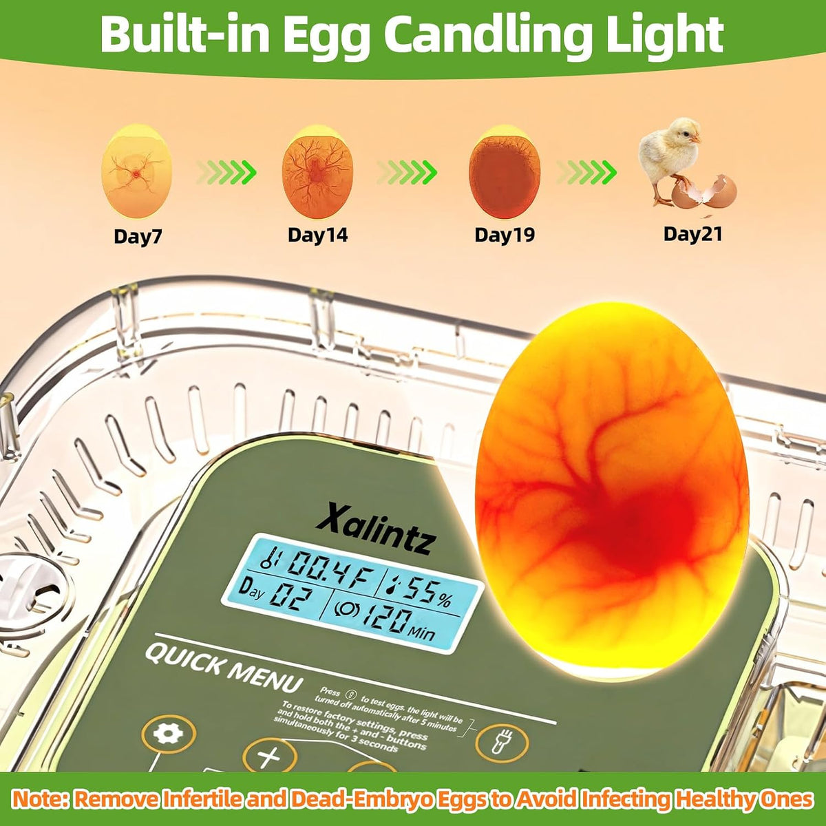 12 Egg Incubator for Hatching Eggs with Automatic Turning, Temperature & Humidity Display, Egg Candler, and Hatch Day