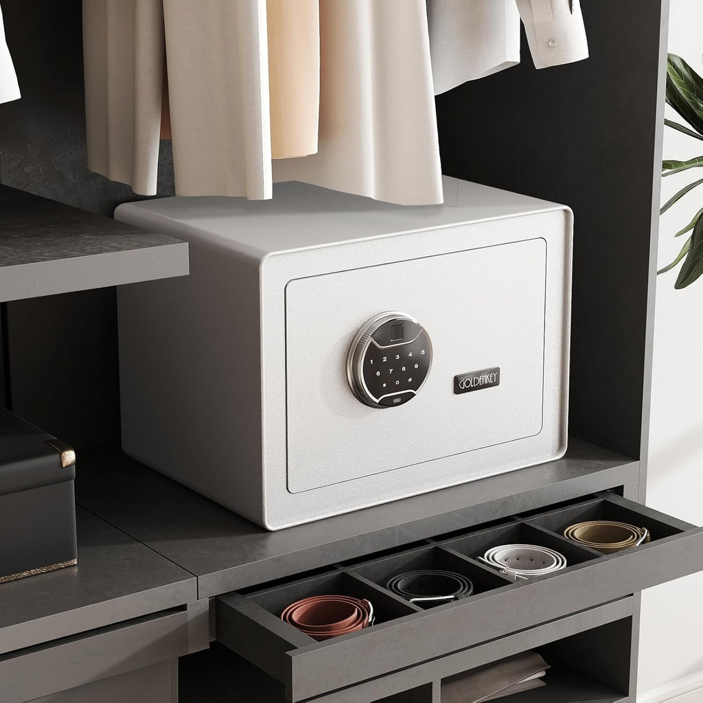 White Fingerprint Safe for Home, 1.6 Cu Ft Biometric Security Safe Box with Touchscreen Keypad, Jewelry Safes for