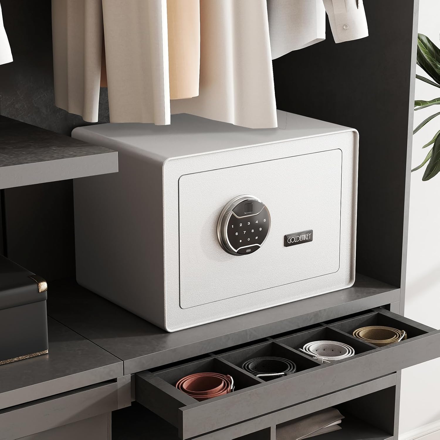 White Fingerprint Safe for Home, 1.6 Cu Ft Biometric Security Safe Box with Touchscreen Keypad, Jewelry Safes for