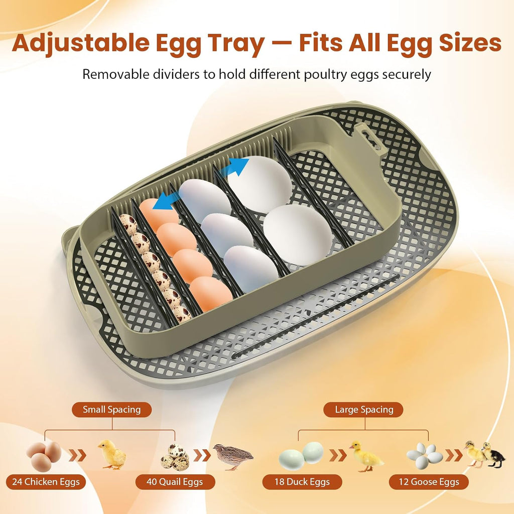 24 Egg Incubator with Humidity Display & Candler, Automatic Adjustable Turner, Temp & Humidity Control, Auto Water