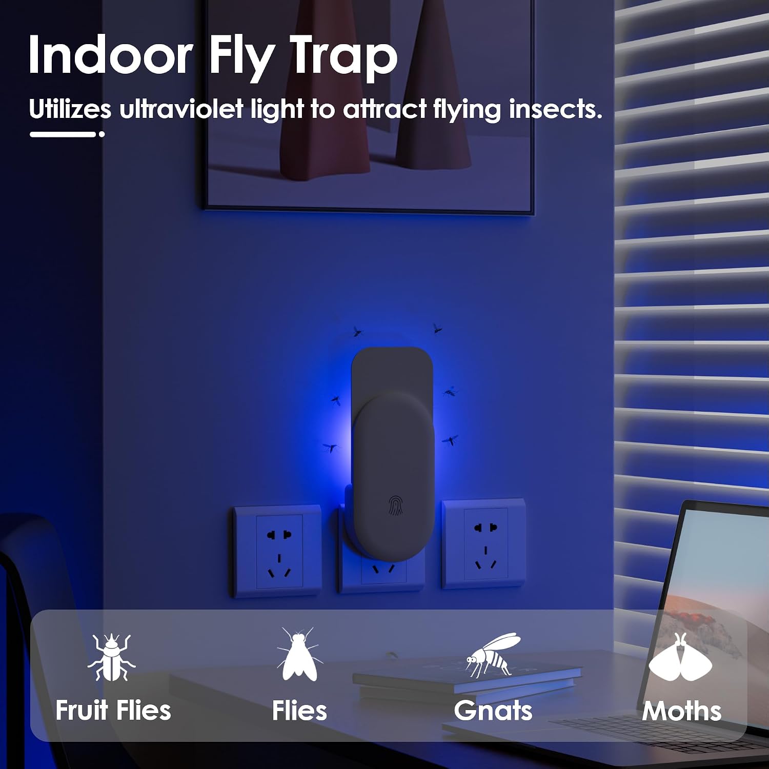Fly Trap Indoor, 3 in 1 Plug-in Fruit Fly Trap,2 Trap White and 10 Glue Cards, Fruit Fly Traps for Indoors, Flying