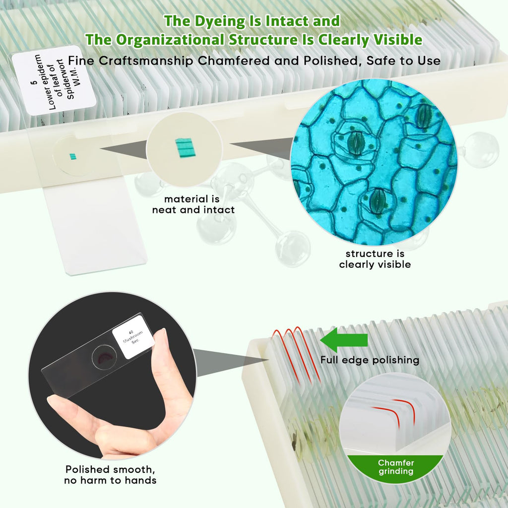 120 Prepared Microscope Slides with Specimens,Glass Slides for Microscope,Prepared Slides Microscope,Microscope Slide