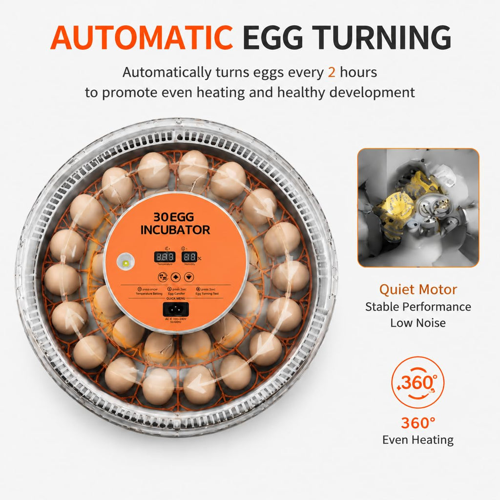 30 Egg Incubator with Automatic Egg Turning, Temperature Control and Humidity Monitor Incubators for Hatching Eggs