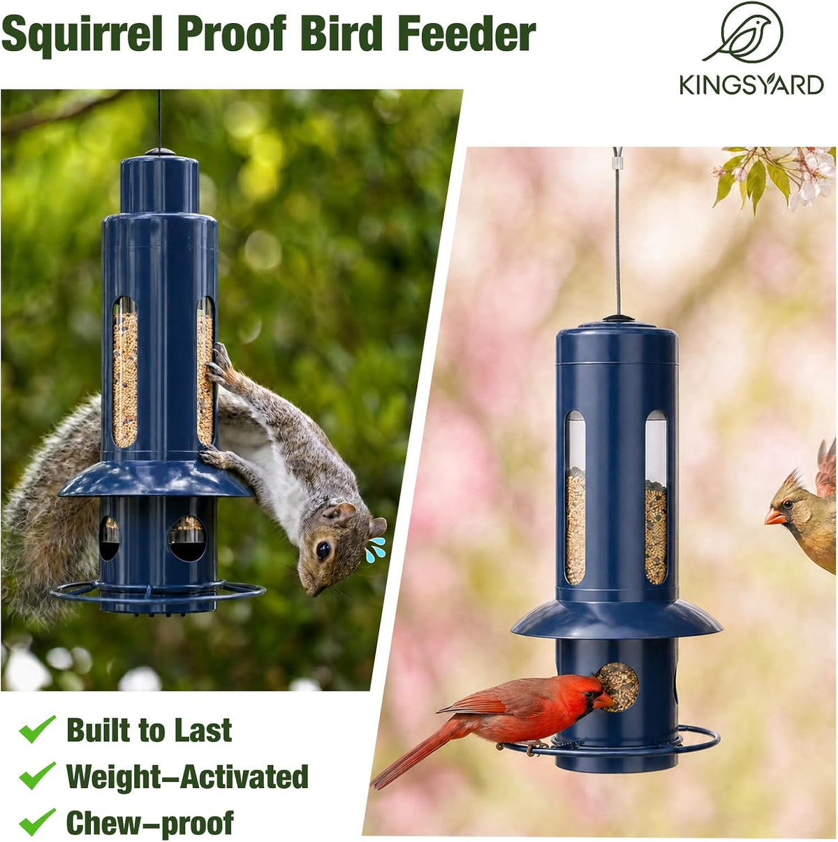 Squirrel Proof Hanging Bird Feeder for Outdoors