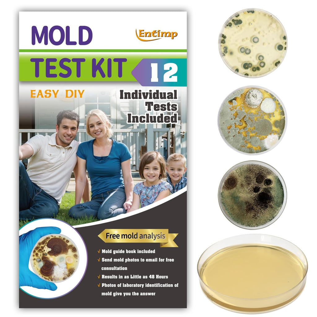 Mold Test Kit for Home Within 12 Individual Tests,DIY Detector at Home, Surface Mold,HVAC,Indoor Air Quality Testing