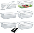 6 Pack Full Size 6'' Deep NSF Polycarbonate Food Pans with Lids