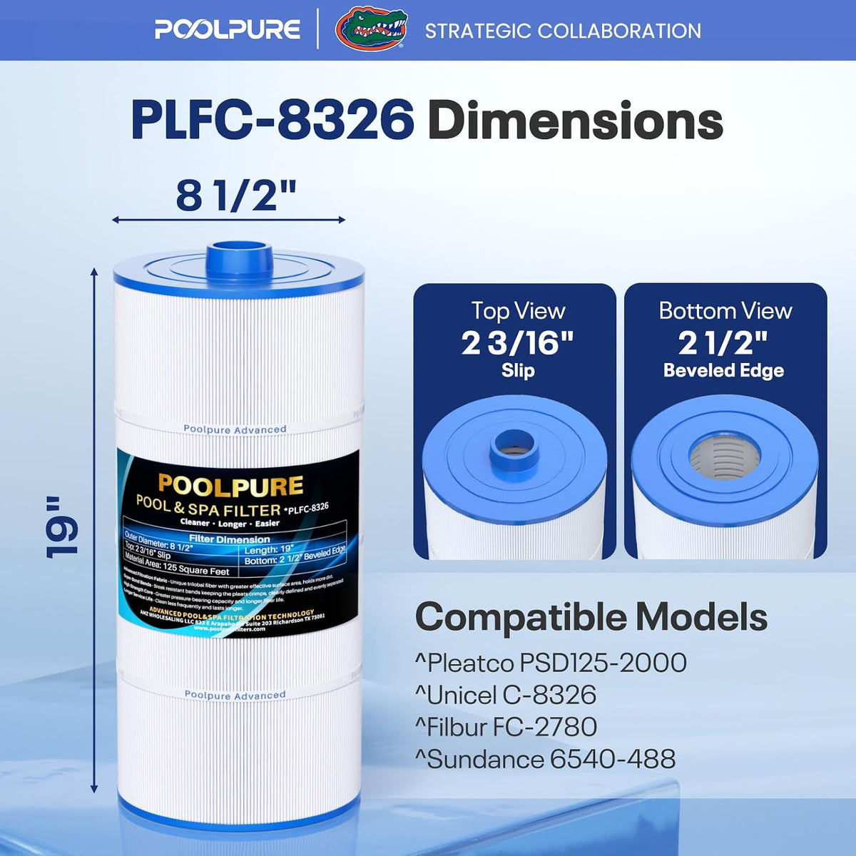 POOLPURE C-8326 SPA Filter Replaces Sundance 6540-488 1PACK