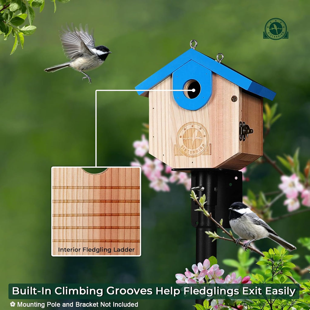 Wren Bird Houses for Outside, Bird House Warming Gifts, Blue