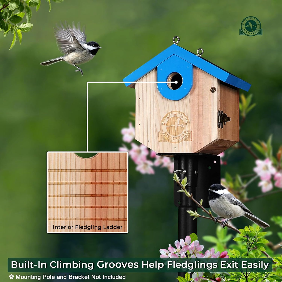 Wren Bird Houses for Outside, Bird House Warming Gifts, Blue