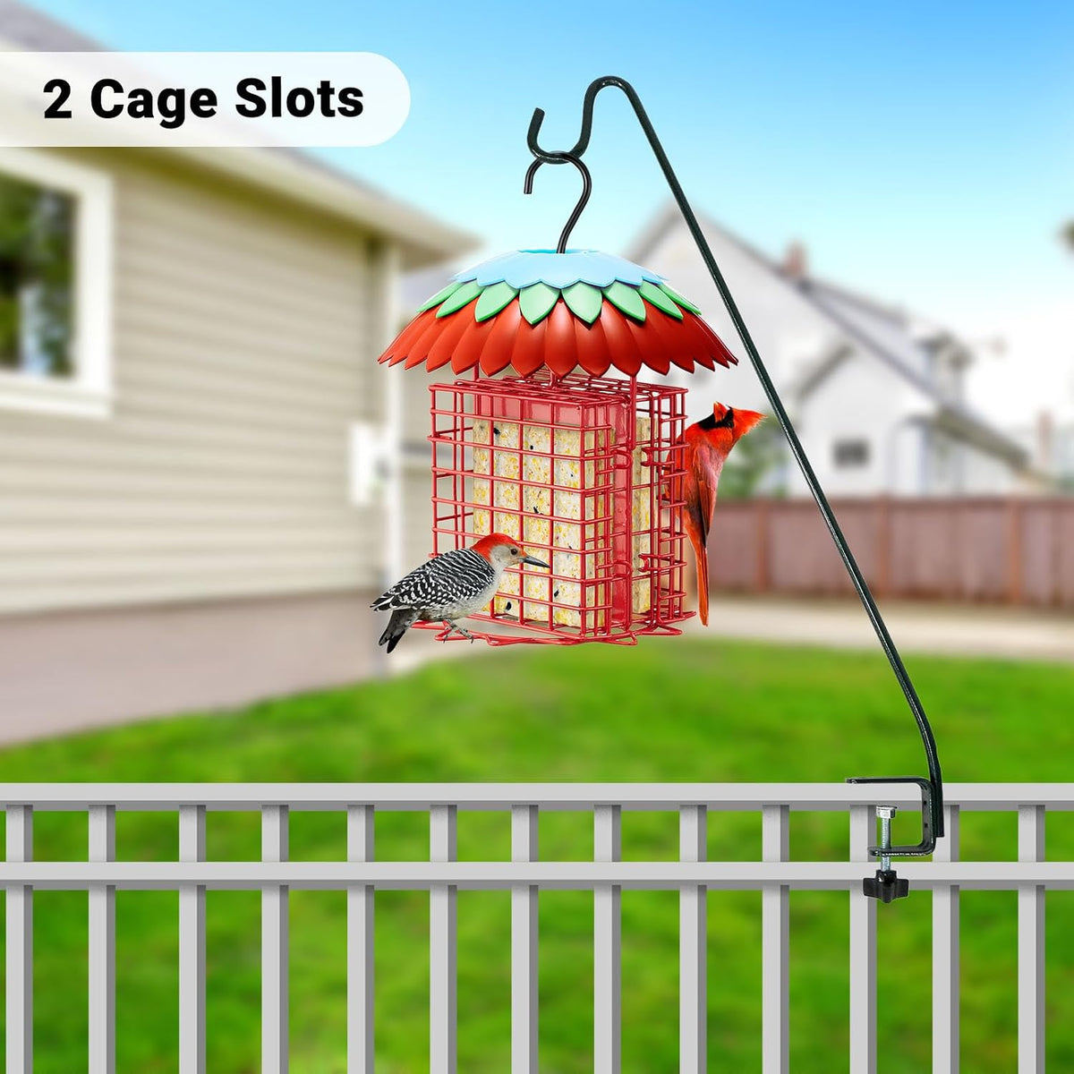 Suet Feeder Double with Weather Guard & Ant Moat, 2 Holders Red