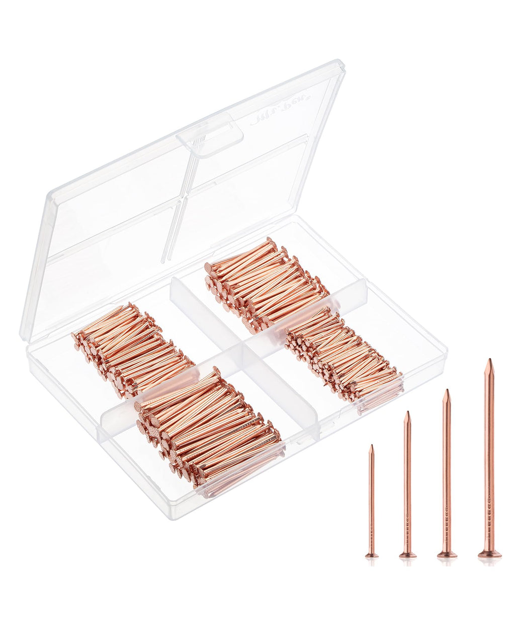 Nail Assortment Kit, 600 Pcs, 4 Sizes, Rose Gold Picture Hangers