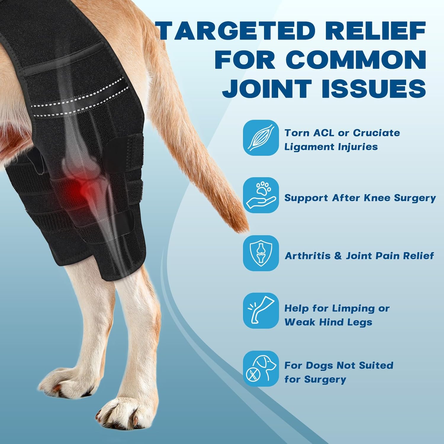 Dog Knee Brace for Torn ACL Hind Leg, Dog Leg Braces for Back Leg Support with 4 Metal Stabilizers Helps with Torn
