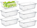 6-Pack 1/3 Size 4" Deep NSF Polycarbonate Food Pans | Dishwasher & Freezer Safe Clear Container for Prep Tables
