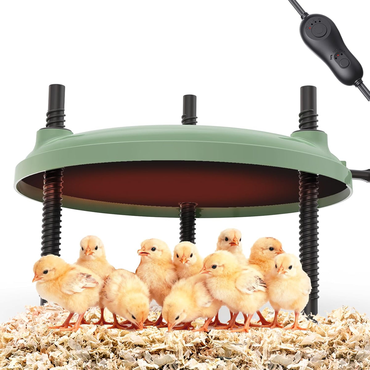 Brooder Plate for Chicks,12inch Metal Heating Plate,Perfectly Adjustable Height & Angle, 35W Chick Warmer for