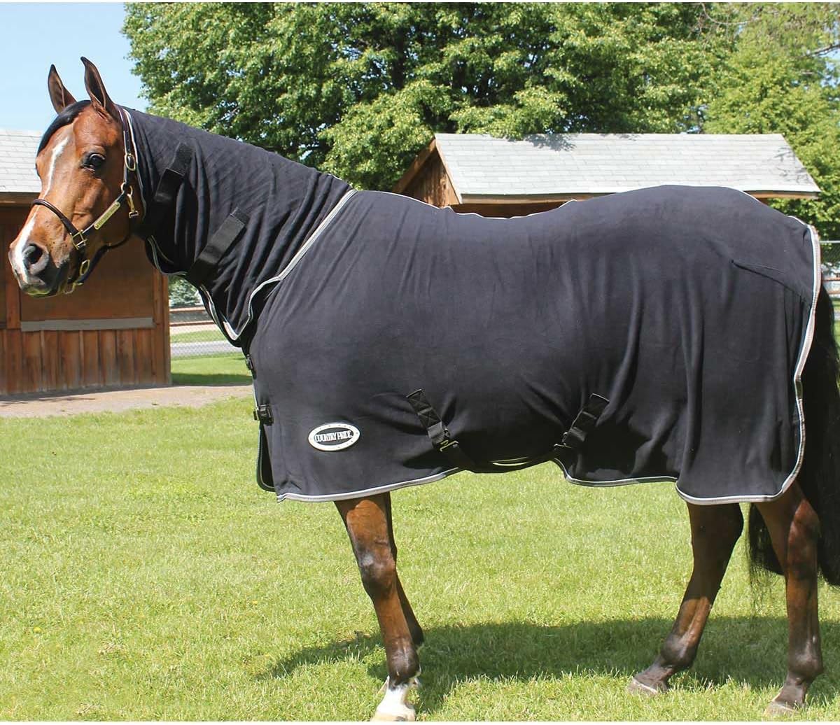 High Neck Micro Fleece Horse Cooler, Moisture-Wicking Show Sheet, Adjustable Double Buckle Front, Elastic Leg Straps