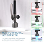 Black Stainless Kitchen Faucet with LED Light and Pull Down Sprayer