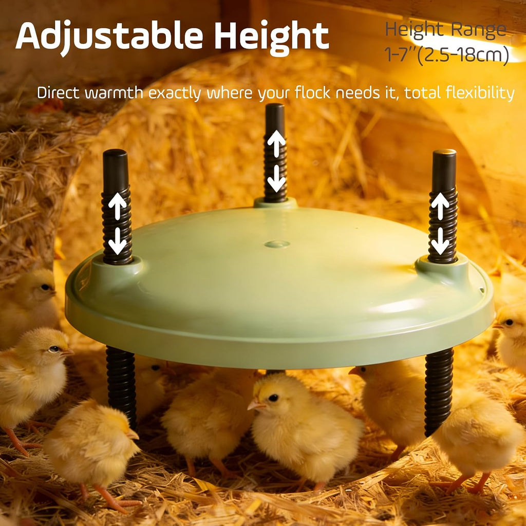 Brooder Plate for Chicks,12inch Metal Heating Plate,Perfectly Adjustable Height & Angle, 35W Chick Warmer for