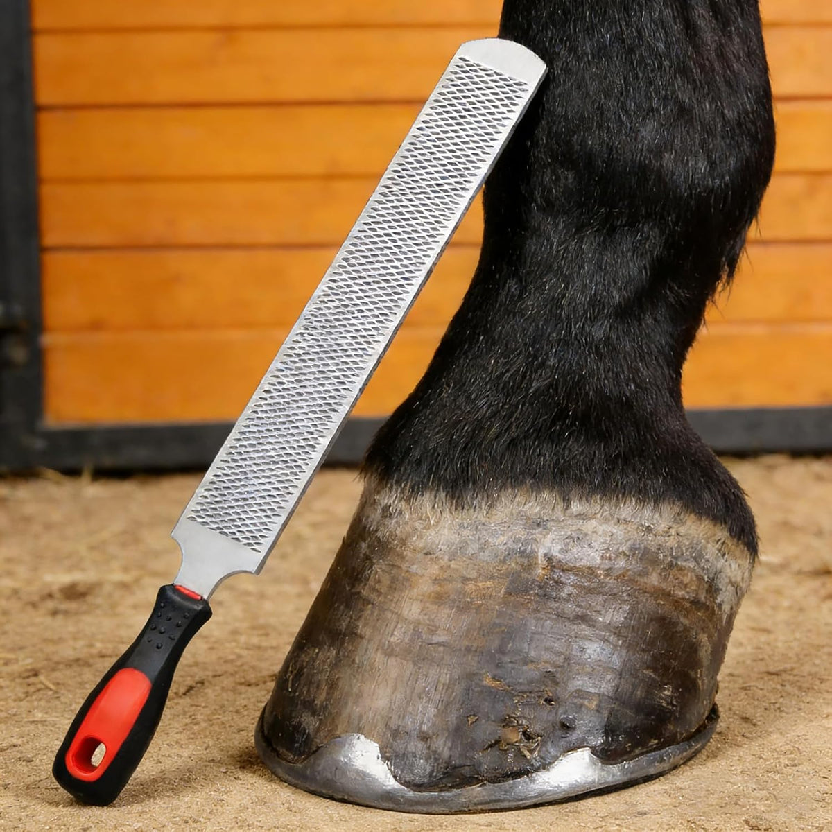 13" Hoof Rasp,Farrier Rasp,Farrier Tools with Rubber Handle