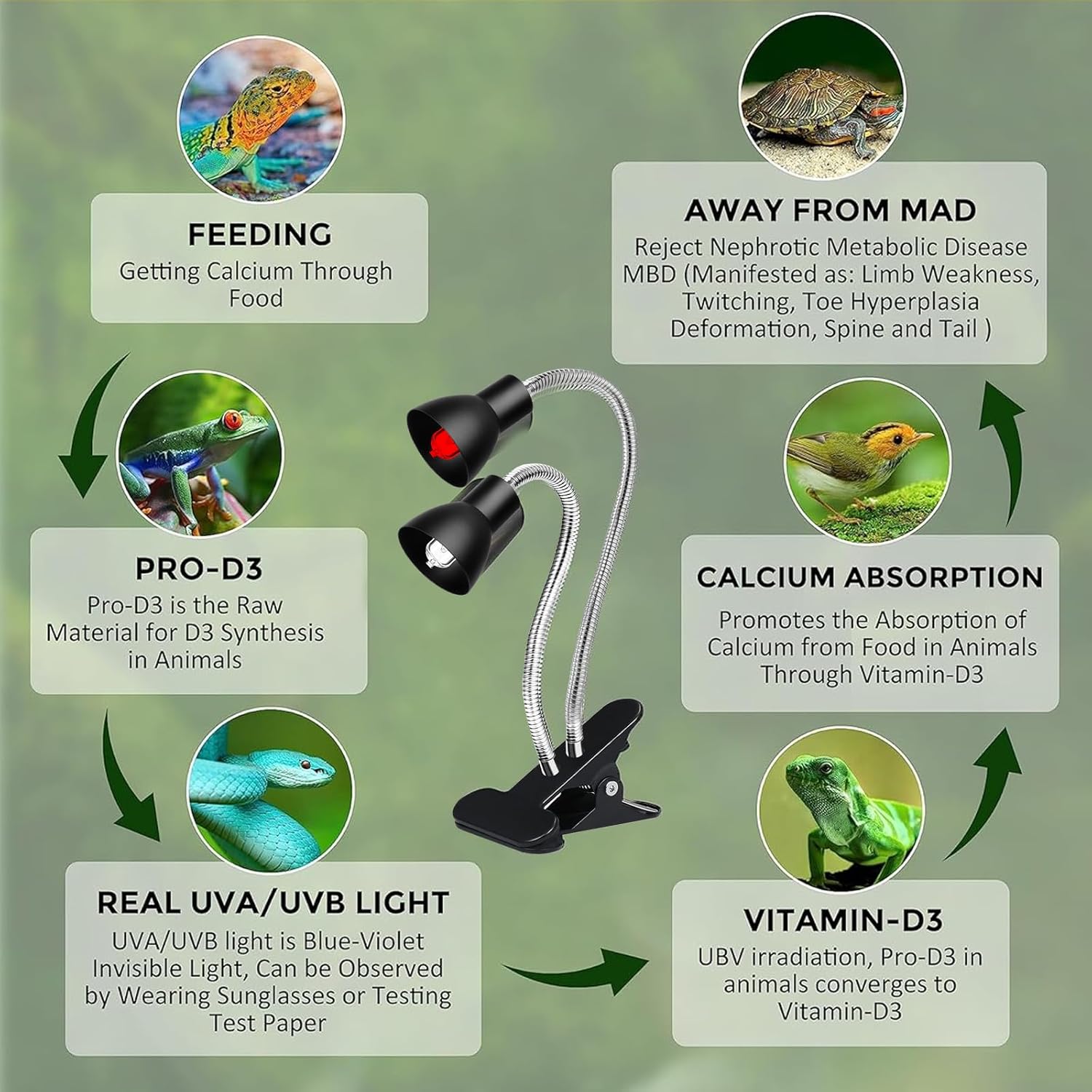 Heat Lamp for Reptile,UVA UVB Light for Turtle,Bearded Dragon Basking Light Bulbs,Dimmable 360°Gooseneck UV Heating